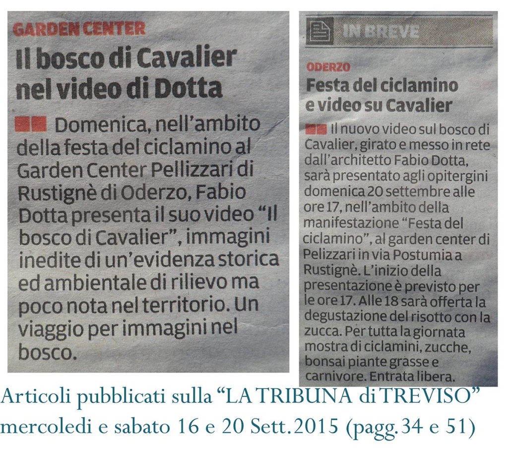 articoli sulla Tribuna Settembre 2015